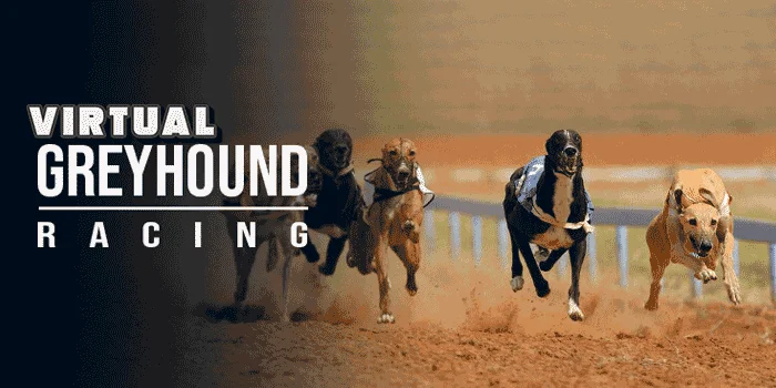 Virtual Greyhound Racing – Pengalaman Balap Anjing yang Realistis dan Menghibur